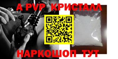 СК Славгород