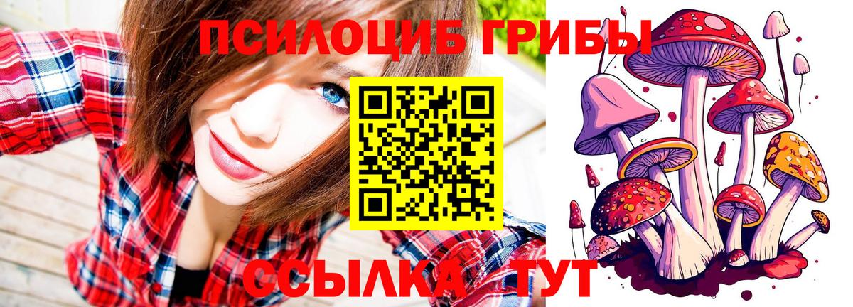 Галлюциногенные грибы прущие грибы Балашиха